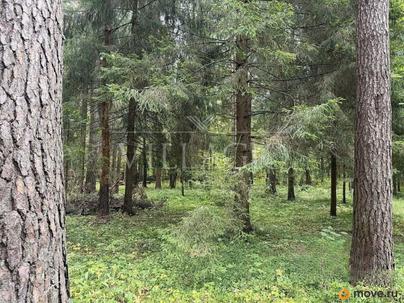 земельный участок, 37 соток