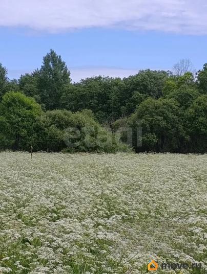 земельный участок, 14 соток