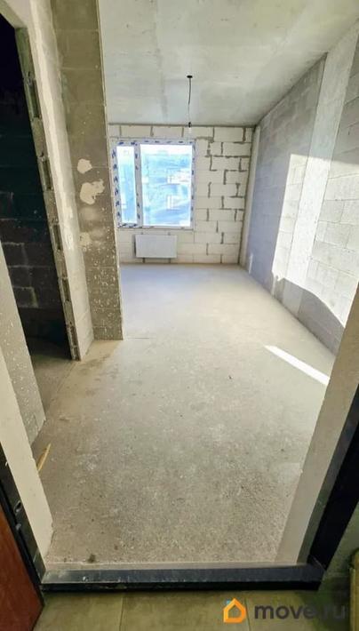 студия, 23.5 м&sup2;