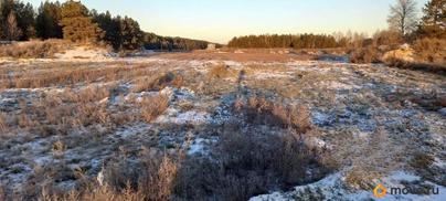 земельный участок, 50 соток