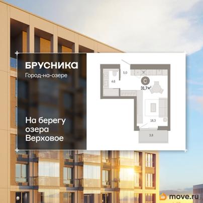 студия, 31.71 м&sup2;
