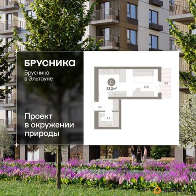 студия, 33.34 м&sup2;